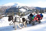 Pferdeschlittenfahrt am Katschberg