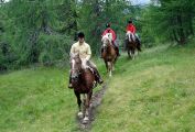 Reiten im Lungau