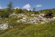 Wanderurlaub im Land Salzburg