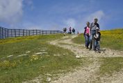 Wandern am Speiereck